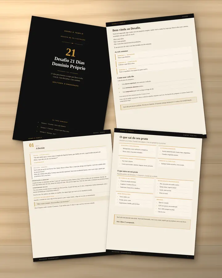 Páginas do Desafio: capa, introdução, Dia 1 e O que sai, O que entra